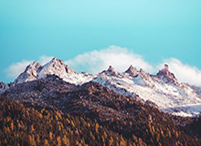 九游体育下载：让你随时随地掌控比赛的全新体育入口