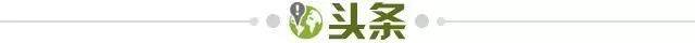 星空体育app下载-【早报】接班女足，“邵二期”国足悉尼开练！